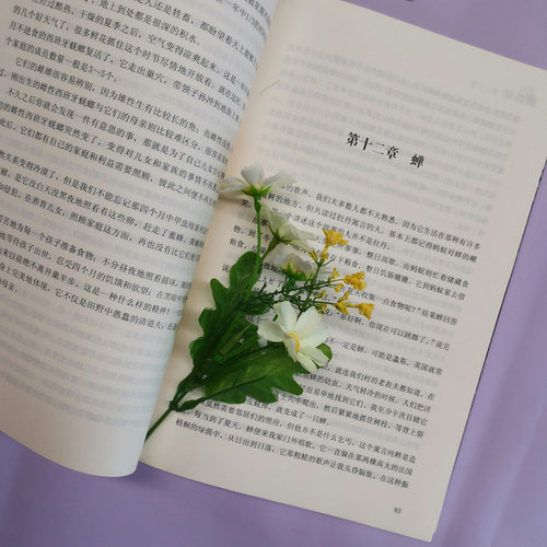 昆虫记原著正版 八年级上册必阅读课外书籍可搭红星照耀中国初中生语文教材配套名著阅读课程化丛书法布尔新华正版 - 图3