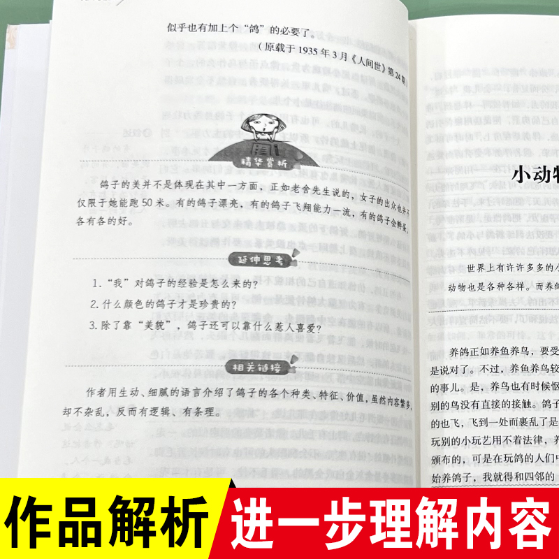 猫老舍经典作品全集 小升初必课外阅读书籍10-12-15岁四五六七年级课外书老师推荐儿童读物经典书目散文精选中小学生读本故事书 - 图1