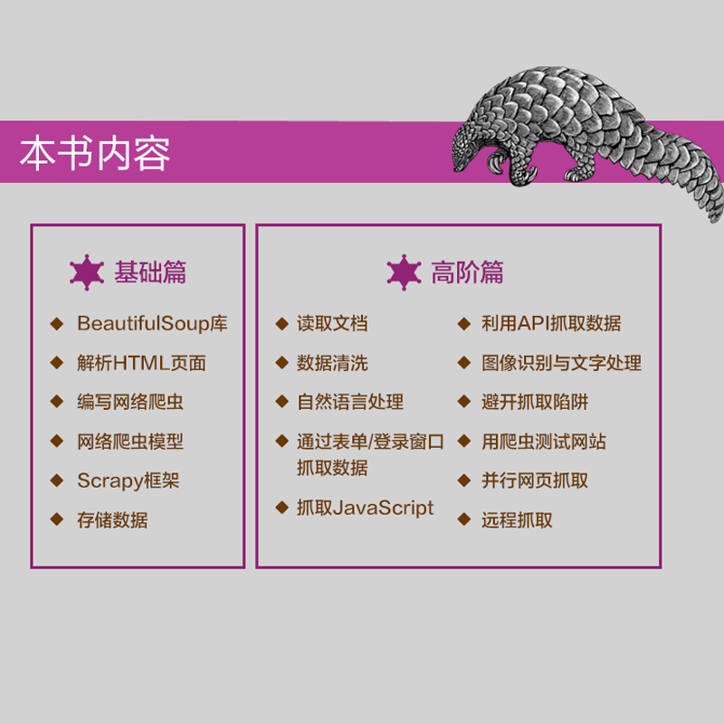 Python网络爬虫权威指南 第2版 Python脚本网页抓取技术网络API web数据采集转换使用方法技巧书网络爬虫测试网站自然语言图形处理 - 图2