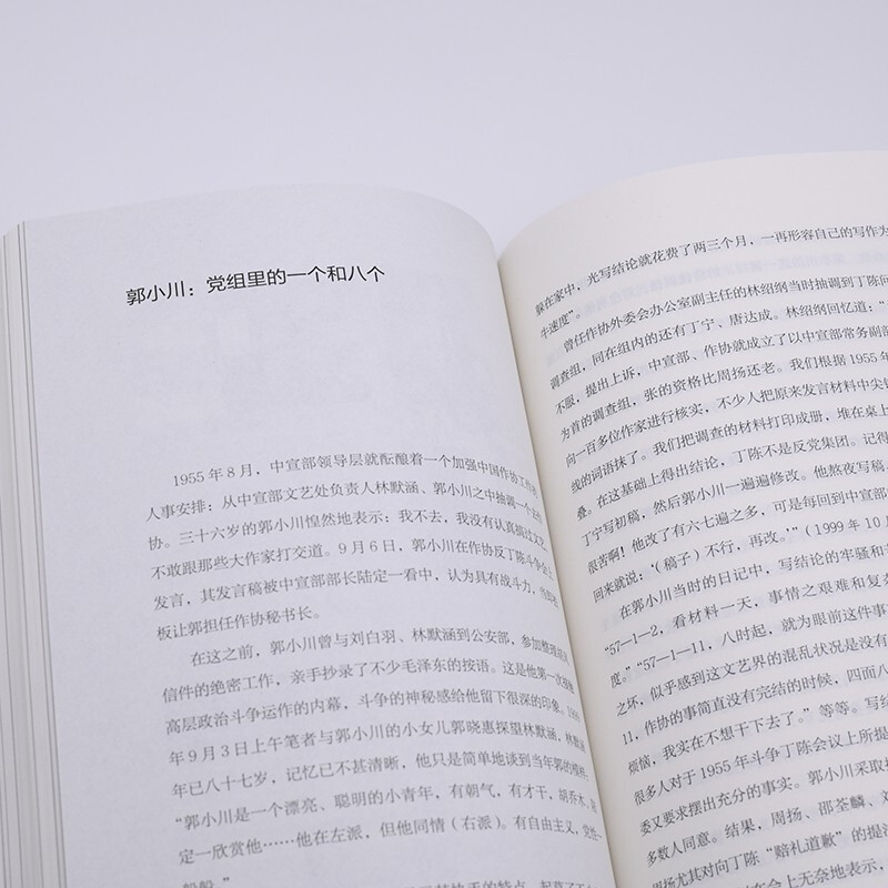 人有病,天知否 修订版陈徒手1949年后中国文坛纪实 老舍郭小川汪曾祺丁玲现当代散文随笔故事 正版书籍小说畅销书新华书店旗舰店 - 图2