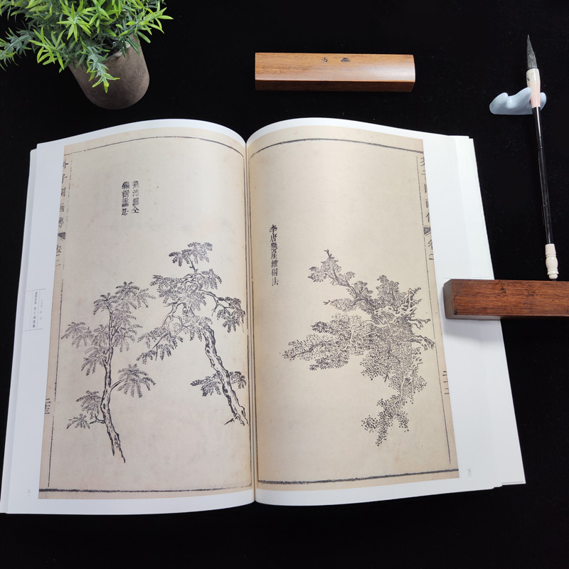 【新华书店】【新华文轩】康熙原版芥子园画传.山水卷.树谱 山水卷.树谱(清)王概,(清)王蓍,(清)王臬 编 正版书籍 新华书店旗舰店 - 图1