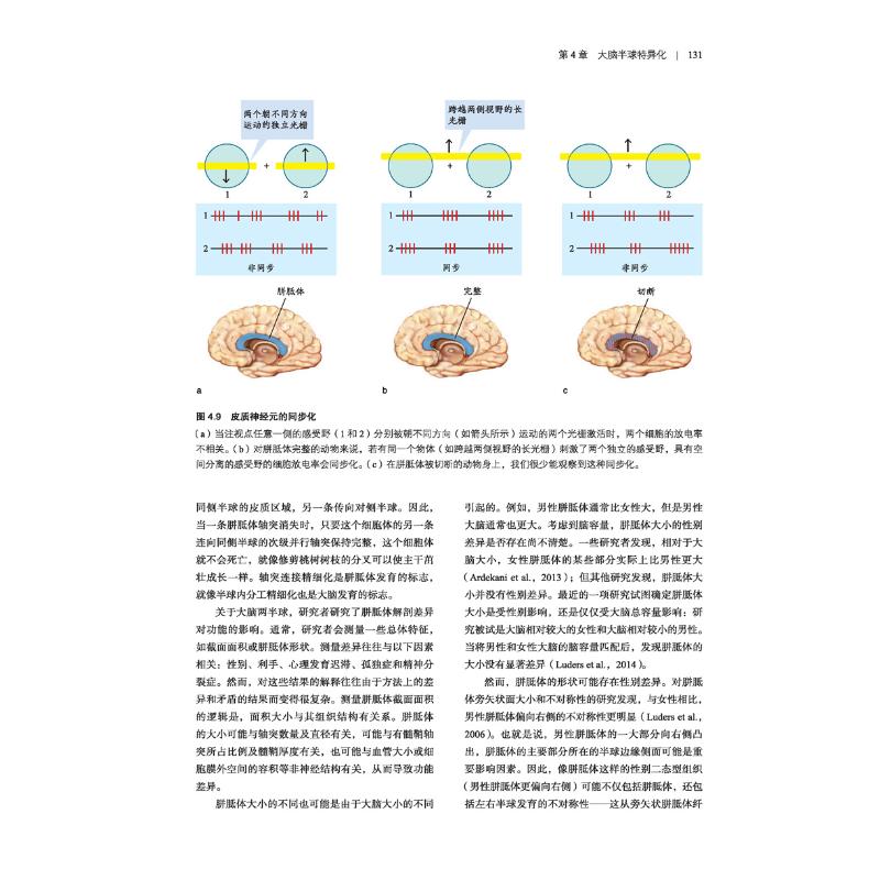 【新华文轩】认知神经科学关于心智的生物学原著第5版(美)迈克尔·S.加扎尼加,(美)理查德·B.伊夫里,(美)乔治·R.曼根-图1