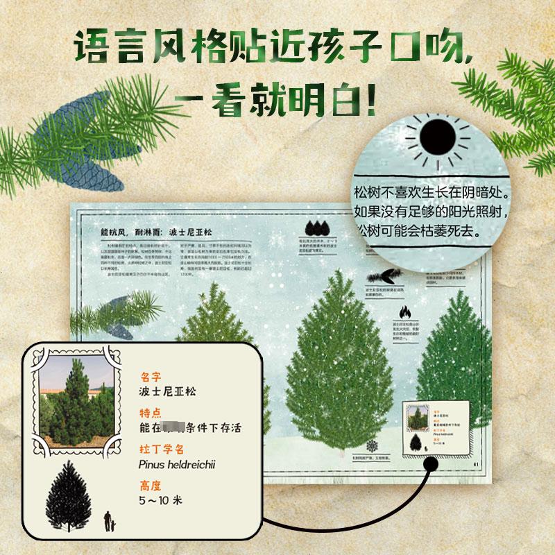 【新华文轩】童话里蹦出个猴面包树意想不到的植物(土)法提赫·迪克曼博士正版书籍新华书店旗舰店文轩官网中信出版社-图3