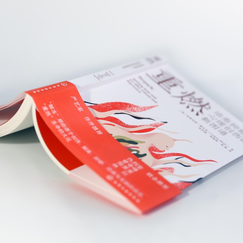 重燃 治愈抑郁与心理创伤的新图谱 严艺家 创伤和抑郁后点燃希望和喜悦 解离恐惧无助心理心灵治愈重燃希望疗愈心理咨询师图书籍 - 图2