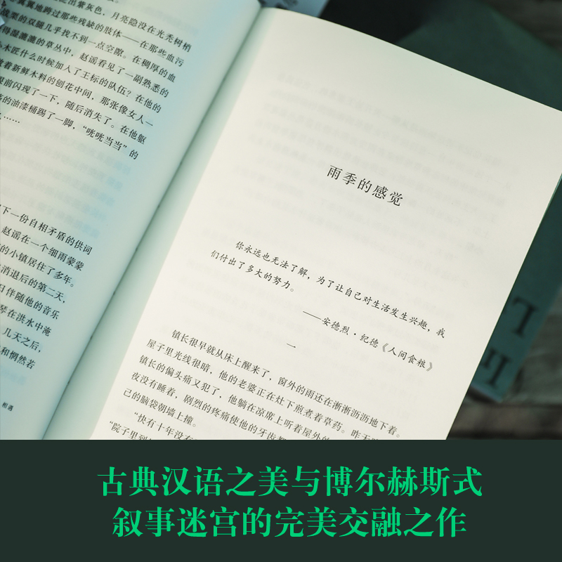 相遇 茅奖得主格非中短篇小说集 迷舟褐色鸟群 12篇故事 中国当代文学奇异故事 新华书店旗舰店文轩官网译林出版社正版书籍 - 图0