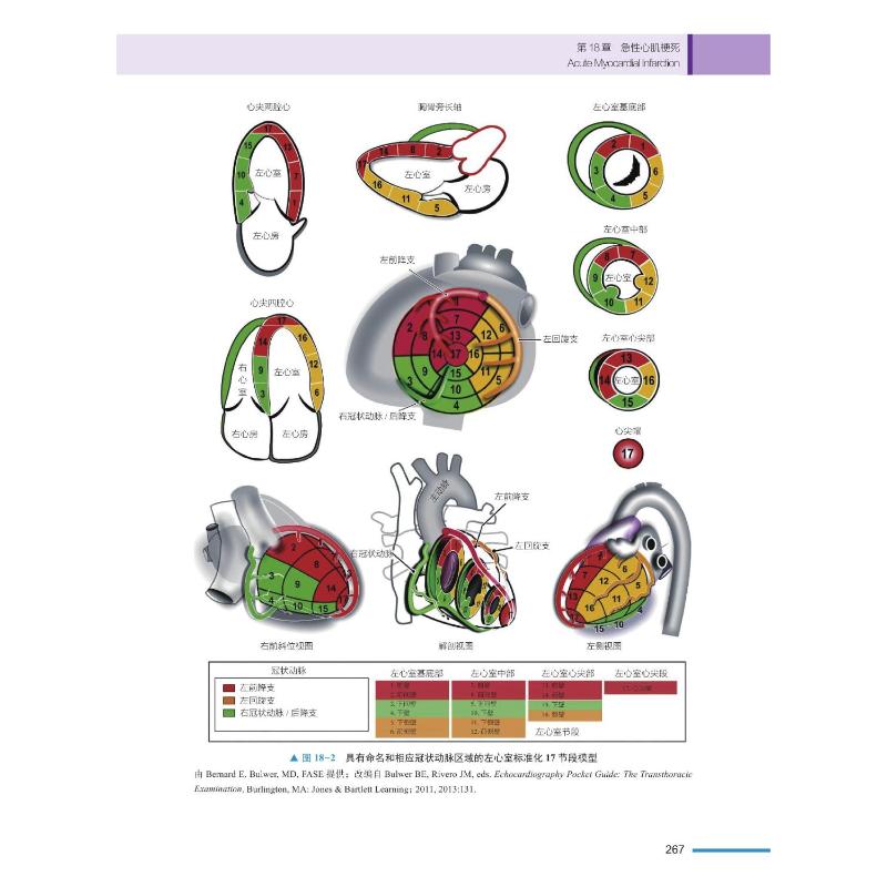 【新华文轩】Braunwald心脏病学超声心动图精要 (美)斯科特·D.所罗门,(美)贾斯蒂娜·C.  吴,(美)琳达·D.吉勒姆 - 图2