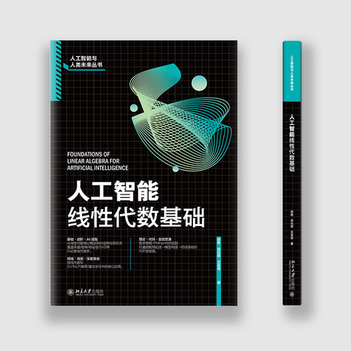 人工智能线性代数基础 薛栋,段兆阳,王圣强 著 正版书籍 新华书店旗舰店文轩官网 北京大学出版社 - 图1