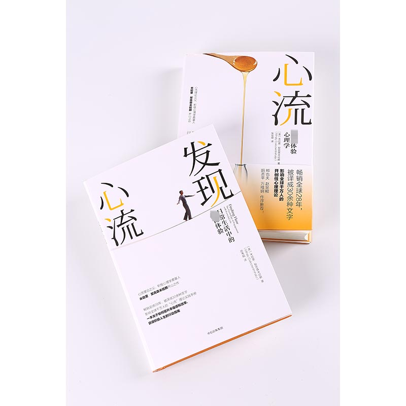 心流最优体验心理学正版 提升幸福感和生活效率 米哈里契克森米哈赖著 积极心理学书籍 人际交往社会心理学与生活 中信出版社 - 图1
