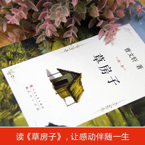 草房子书正版曹文轩和青铜葵花原著完整版包邮儿童文学6-9-10-12岁三四五年级课外小学生经典书目书籍全套读物新华文轩旗舰网正版-图2