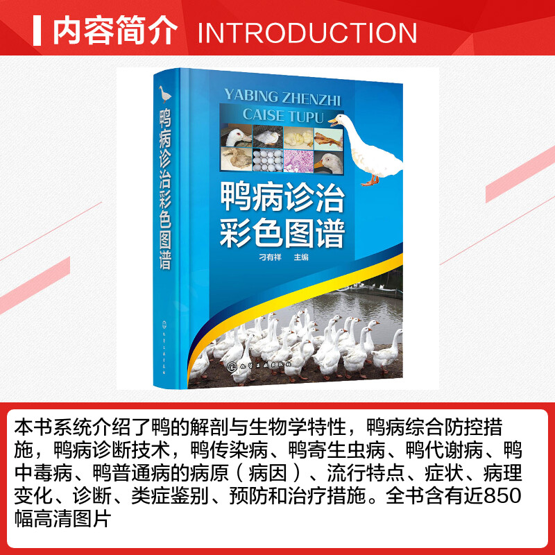 【新华文轩】鸭病诊治彩色图谱 正版书籍 新华书店旗舰店文轩官网 化学工业出版社 - 图1