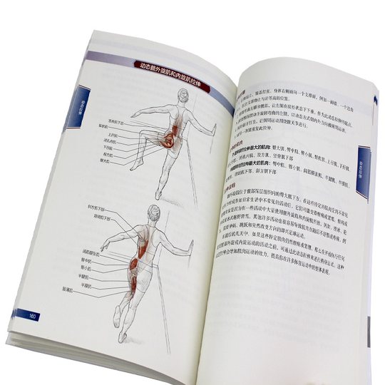 拉伸运动系统训练 全彩图解第2版 拉伸计划专业训练培训书籍 体能训练 肌肉锻炼 拉伸动作姿势 体育运动跑步圣经 新华书店正版图书