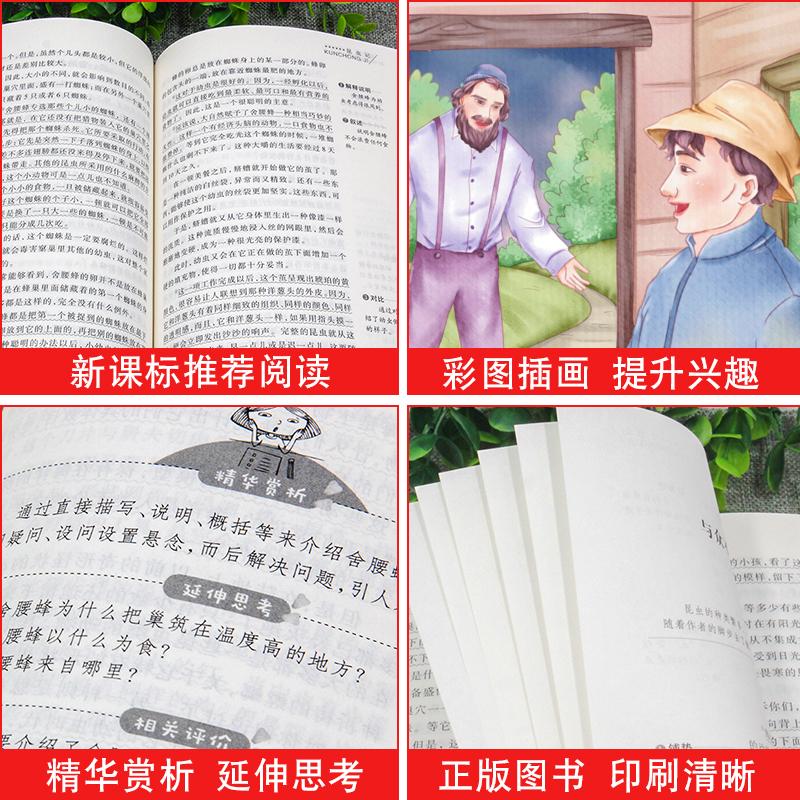 【新华文轩】快乐读书吧七年级必读上 4册 《猎人笔记 》+《城南旧事》+《镜花缘》+《湘行散记》 - 图2