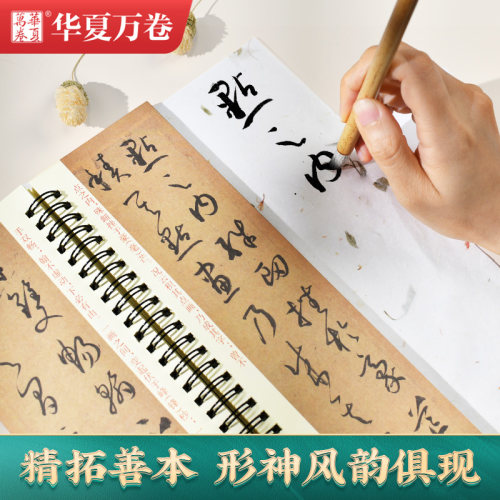 【新华文轩】孙过庭草书书谱 正版书籍 新华书店旗舰店文轩官网 湖南美术出版社 - 图1
