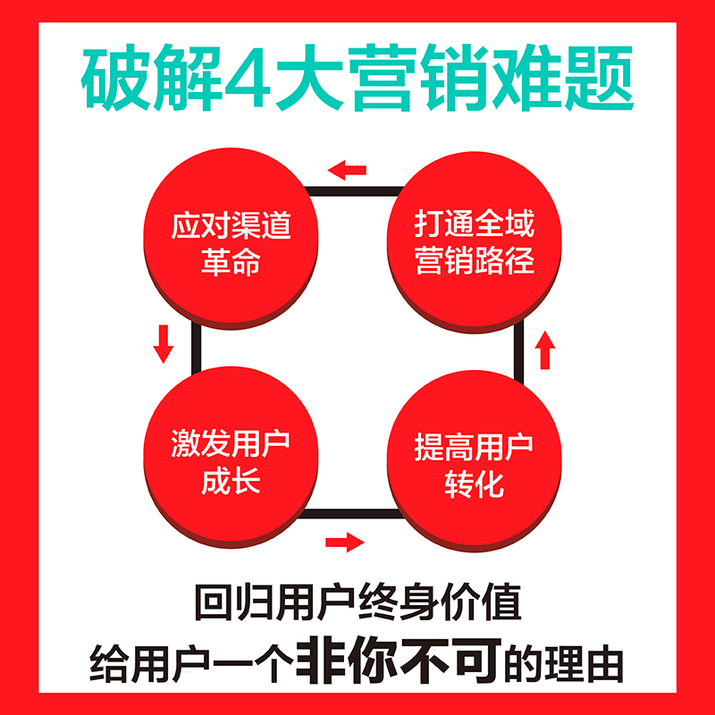 深度粉销2.0 低成本爆发式增长的用户运营法则 丁丁 人民邮电出版社 市场营销管理销售粉丝工场FANCTORY书籍私域流量直播书籍正版 - 图1