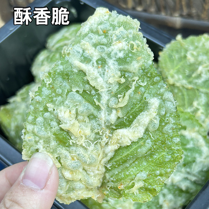 酥翠叶紫酥叶油炸新鲜桑叶天妇罗翠叶紫酥裹粉特色私房菜半成品菜-图2