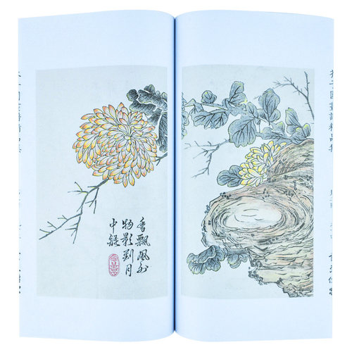 芥子园画谱精品集宣纸线装一函二册 书香传家 梅兰竹菊谱芥子园画谱画传国画入门山水画花鸟画 - 图2