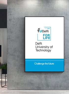 TU Delft挂画代尔夫特理工大学装饰画 卧室办公现代简约卧室客厅