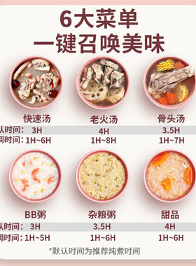 天际陶瓷电炖锅文火慢炖煲汤煮粥