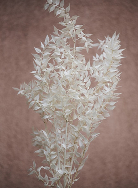 久伴天然干花永生花真花花束银杉叶客厅餐桌台面装饰摆件高级复古