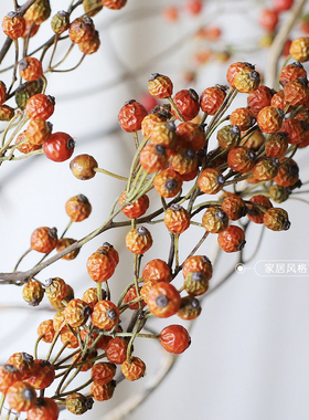 久伴天然山归来干花花束真花插花长树枝客厅桌面装饰摆件侘寂高级
