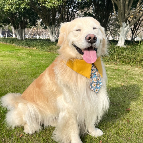 Слюнявчик, аксессуар, милый шарф, нагрудник, подходит для подростков