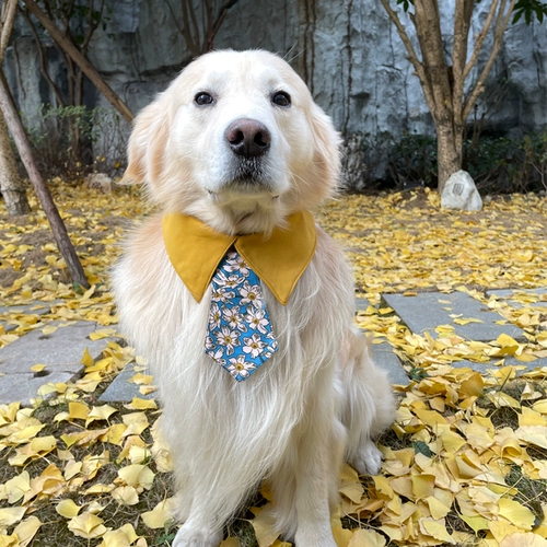 Слюнявчик, аксессуар, милый шарф, нагрудник, подходит для подростков