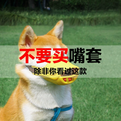 ДОБАВИТЬ РУТА КВОЧКИ МОБОЛЬКО АНТИ -Рэндома Анти -Бейт СОБАКА