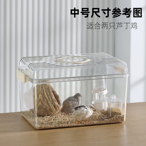 爬宠饲养箱甲虫饲养盒寄居螃蟹守宫乌龟蛇蛙饲养箱仓鼠手提外带笼 - 图2