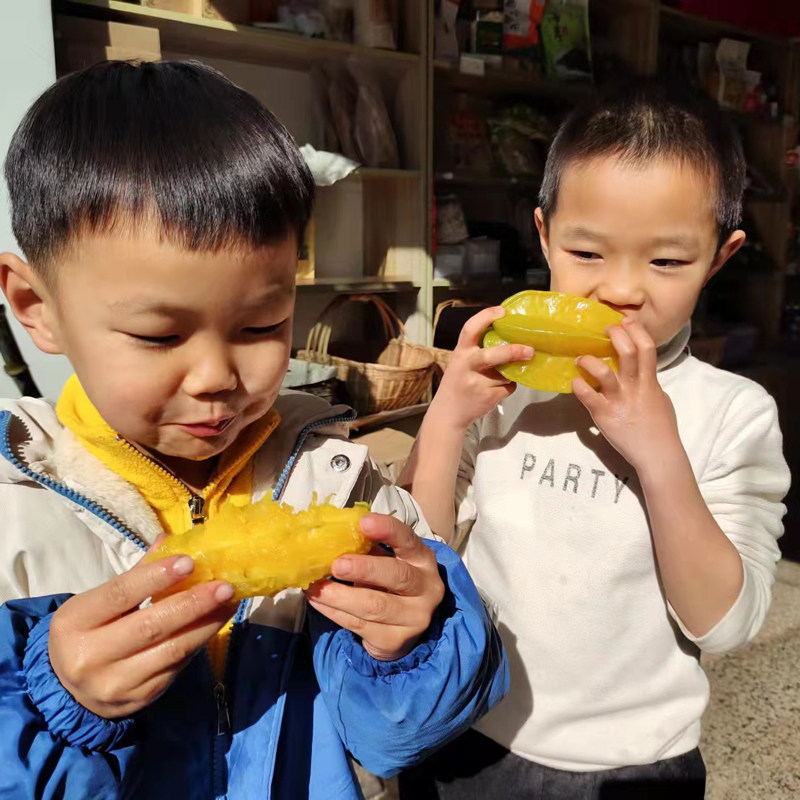 生态杨桃柠檬君自然熟新鲜现摘整箱鲜甜多汁树上熟孕妇应季水果,淘宝优惠券,粉丝福利购,淘宝优惠卷