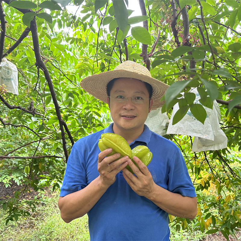 生态杨桃柠檬君自然熟新鲜现摘整箱鲜甜多汁树上熟孕妇应季水果,淘宝优惠券,粉丝福利购,淘宝优惠卷