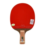 Дружба 729 настольный теннис ракетка 2040 Одиночный снимок 1 2060 солдаты и аукцион младший ученые студент студент Студент Стропер пересекает искренний