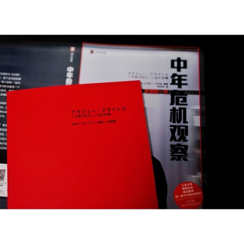 中年危机观察 失意的一代译文纪实NHK节目组系列日本冰河期就业世代社会观察人文工作漂流陆求实译本上海译文 纪实文学 - 图1