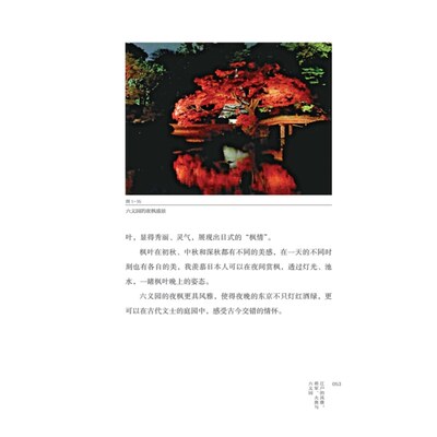 东京历史迷走日本东京史胡川安日本史另著 和食古早味 食光记忆 绝对惊艳魁北克 东京历史迷走 京都历史迷走上海教育出版社 虎窝淘