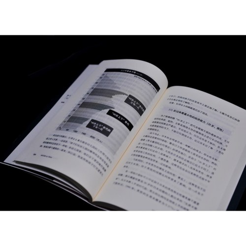 中年危机观察 失意的一代译文纪实NHK节目组系列日本冰河期就业世代社会观察人文工作漂流陆求实译本上海译文 纪实文学 - 图3