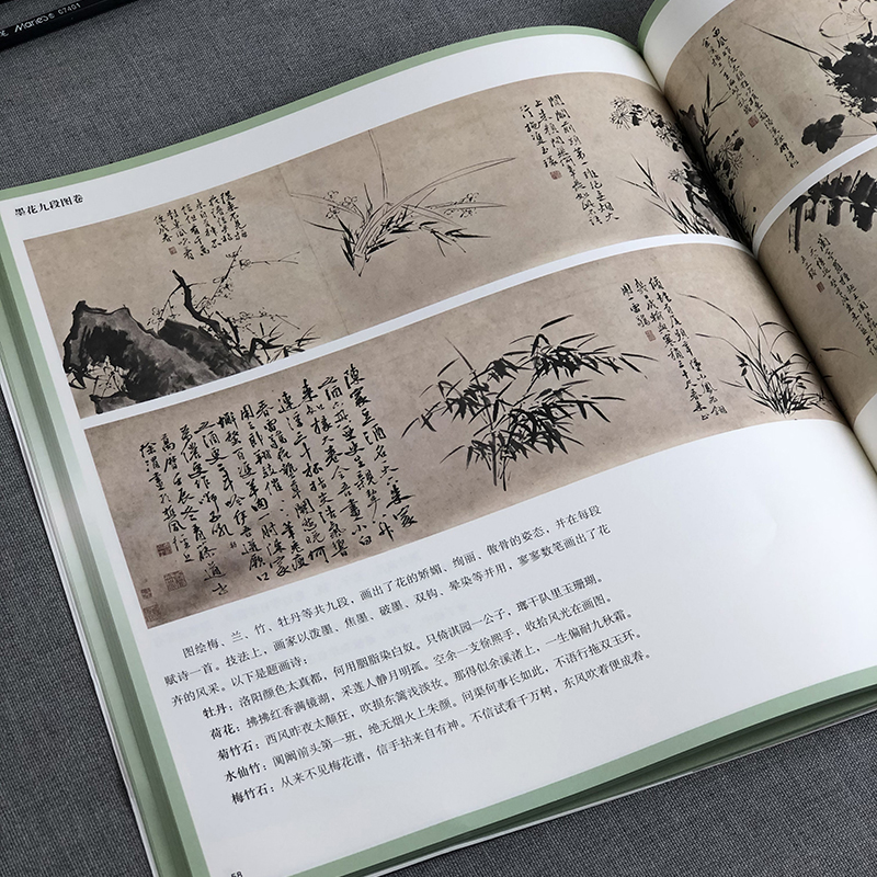 陈淳、徐渭写意花鸟画谱——名家课徒稿临本 - 图2