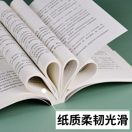 灿烂千阳 卡勒德胡赛尼著 李继宏译 原名泰坦尼克城之梦 追风筝的人姐妹篇 源自喀布尔的诗 正版图书籍 上海人民 文景 世纪出版 - 图3