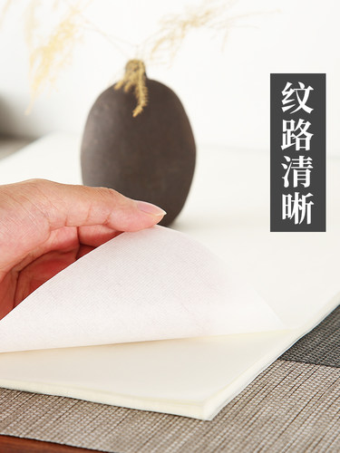 书画宣纸国画专用纸书法临摹练习8开生宣4K熟宣四尺半生半熟加厚 - 图0