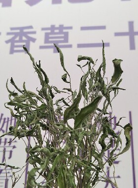 芳香万寿菊干品百香果味枕头车载香囊香包填充原料小宠食物味清淡