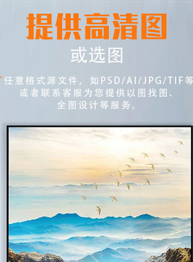 客厅定制可定制装饰画