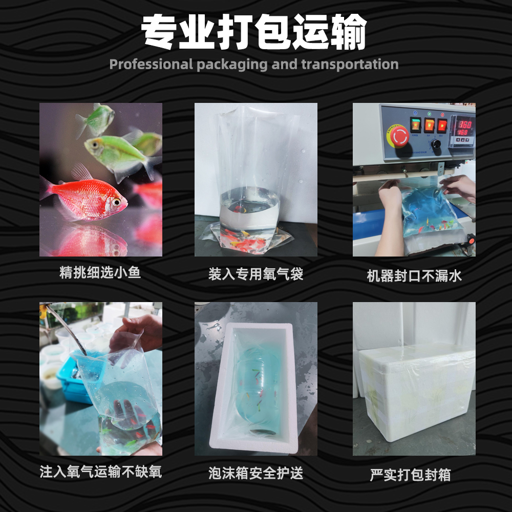 商品详情图片