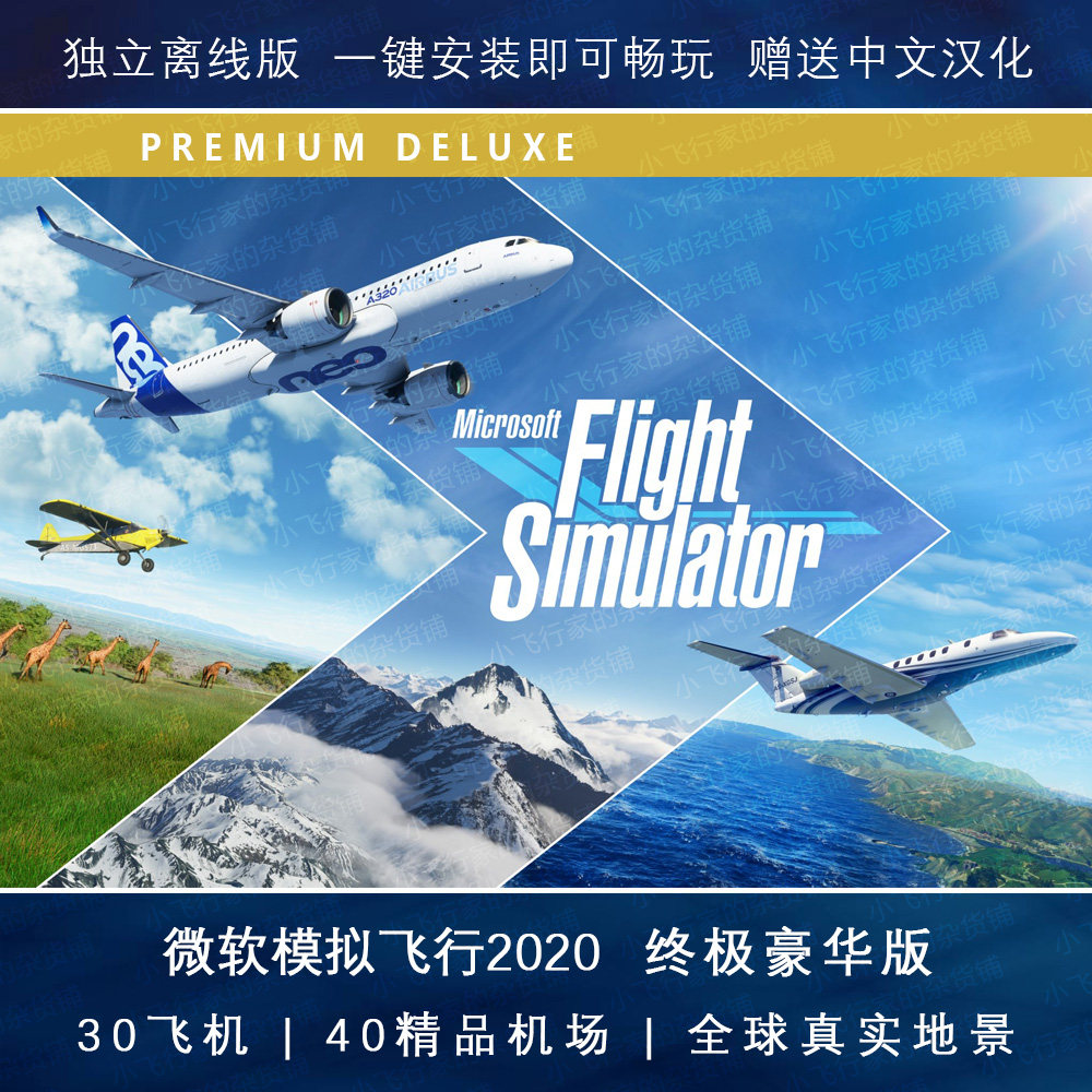 Steam模拟飞机 新人首单立减十元 21年9月 淘宝海外