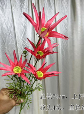 蓝星花假花仿真花布景装饰材料