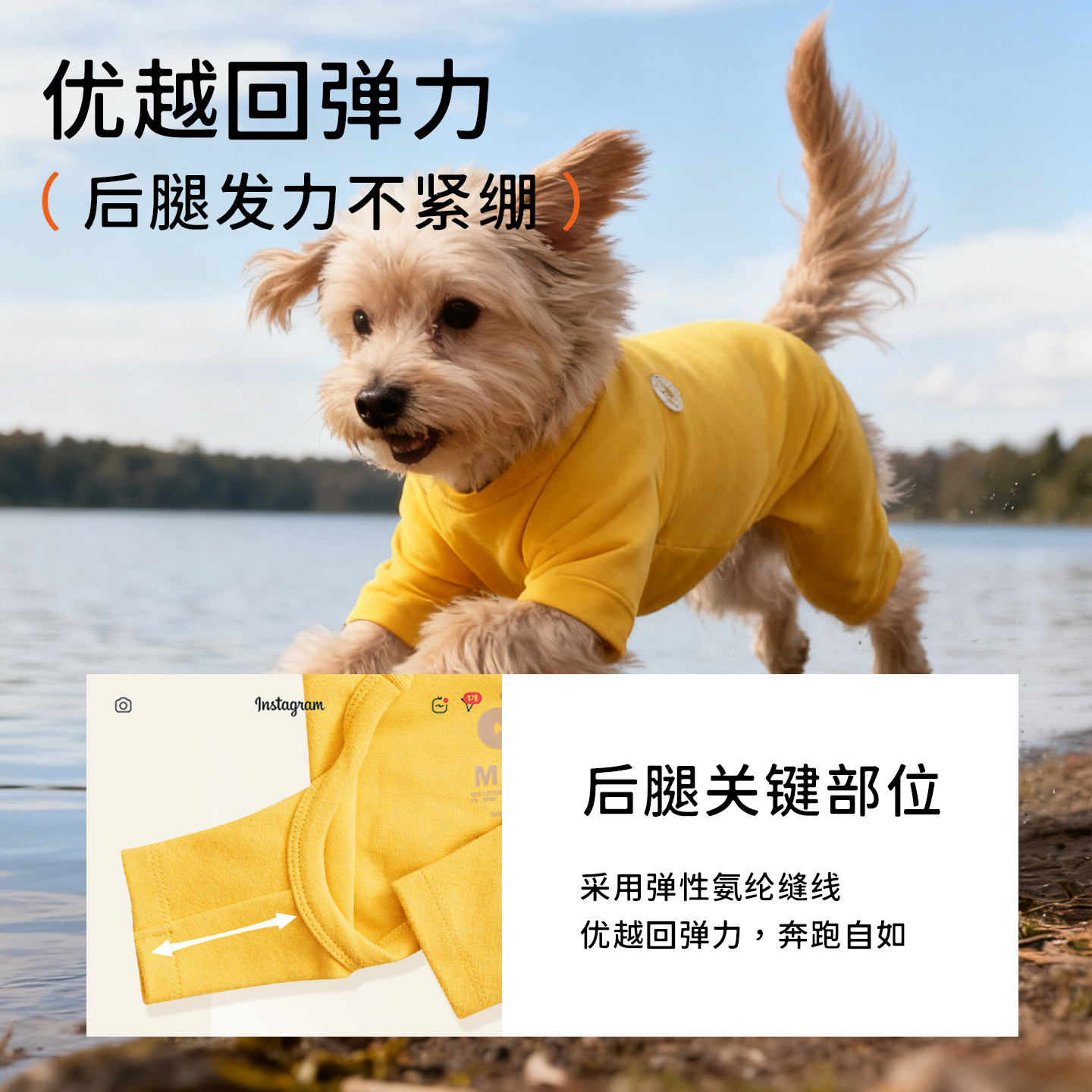 【四脚打底】韩国biteme全包四脚打底衫保暖蓄暖高弹舒适宠物衣服,淘宝优惠券,粉丝福利购,淘宝优惠卷