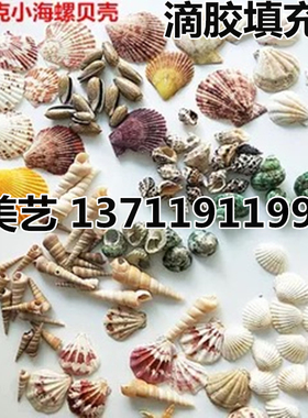 水晶滴胶DIY材料制作海螺贝壳饰品蜡烛星空瓶素材滴胶装饰填充