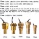 12V24V car and truck digital water temperature sensor head plug modified water temperature meter special sensor induction plug