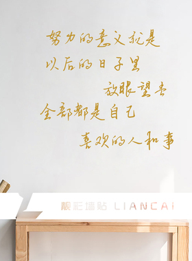 努力的意义手写文艺ins风画励志