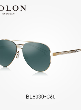 暴龙墨镜男款潮太阳镜偏光BL8122