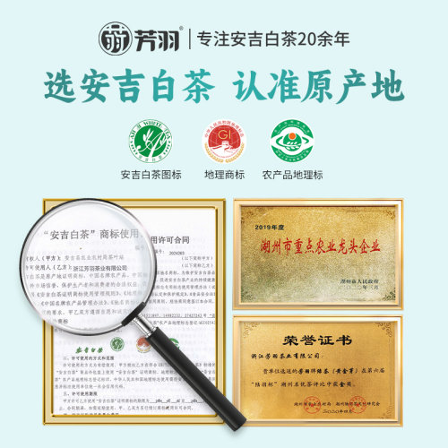 2026年新茶芳羽安吉白茶正宗雨前绿茶叶125克春茶白茶官方旗舰店 - 图2