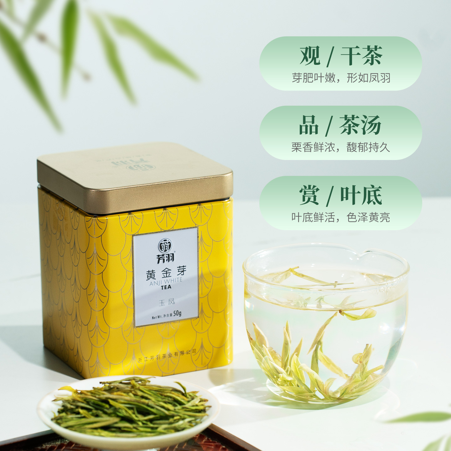 2025年新茶芳羽白茶黄金芽正宗安吉特级白茶黄金叶绿茶罐装50g - 图0