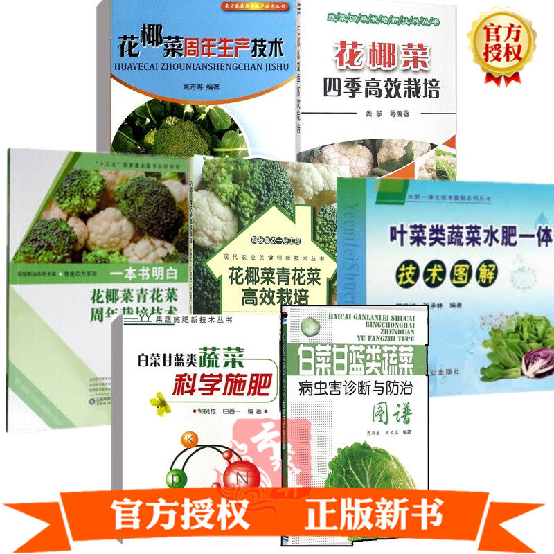 紫色花椰菜 新人首单立减十元 21年8月 淘宝海外